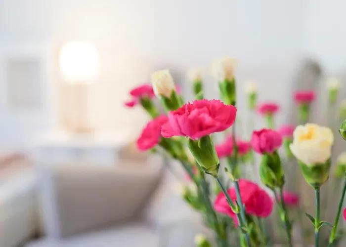 Tatil Evi Nadmorska Strzecha Smoldzinski Las